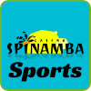 Spinamba Casino та Sports Logo PNG для Playbestcasino.net на фотографії