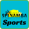 Spinamba Casino and Sports Logo png for PlayBestCasino.net is on photo.